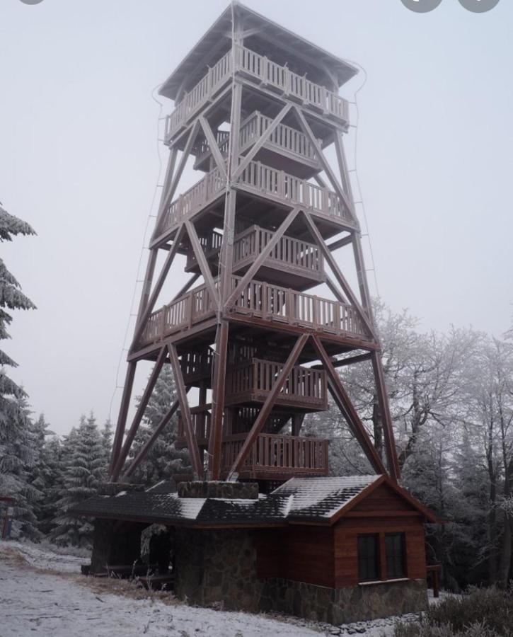 Apartamento Sniezka Duszniki Zdrój Exterior foto