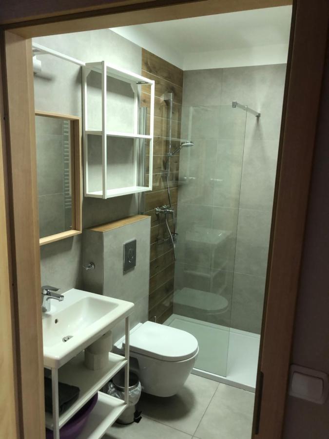 Apartamento Sniezka Duszniki Zdrój Exterior foto